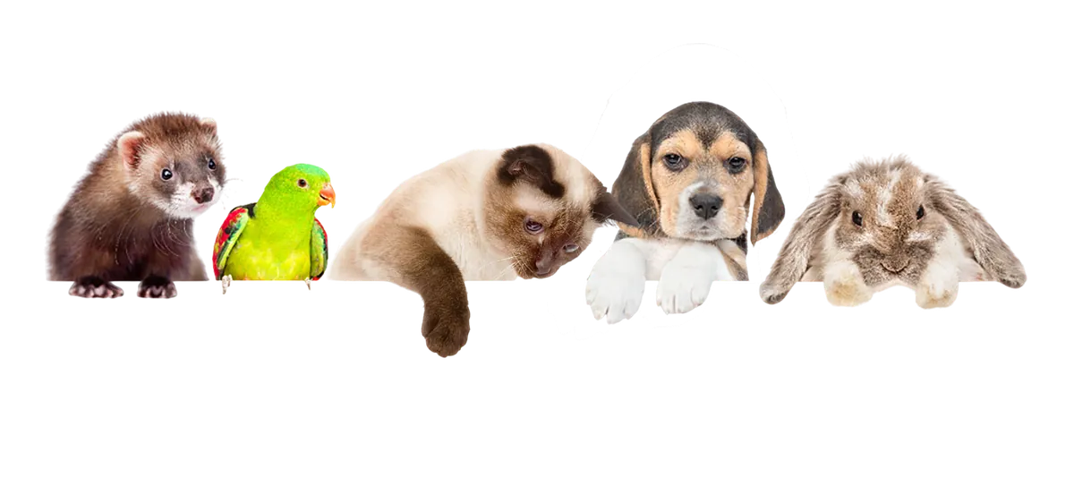 Terraristik-Abteilung im Zoofachmarkt Brändle Konstanz – Zubehör, Beleuchtung und Terrarien für Reptilien und Amphibien