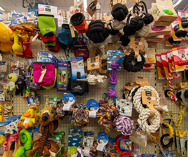 Hochwertiges Hundespielzeug und Kauartikel im Zoofachmarkt Brändle Konstanz
