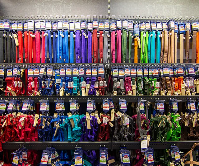 Leinen und Hundegeschirre in vielen Farben – Zubehörabteilung im Zoofachmarkt Brändle Konstanz